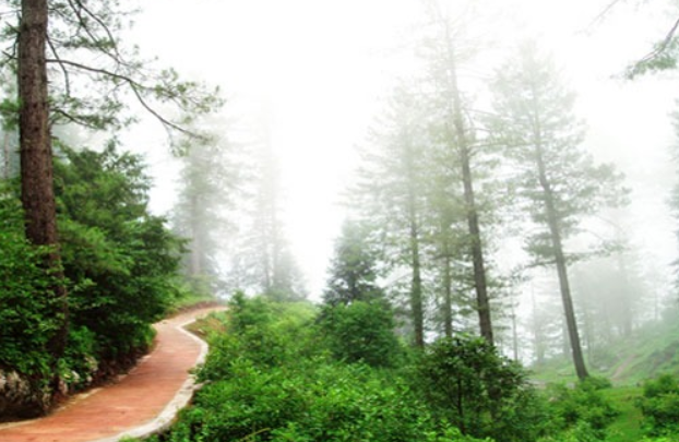 places to visit in daringbadi