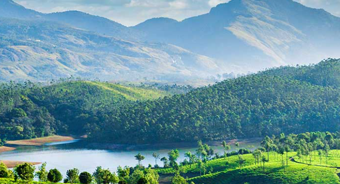 Photo point in Munnar
