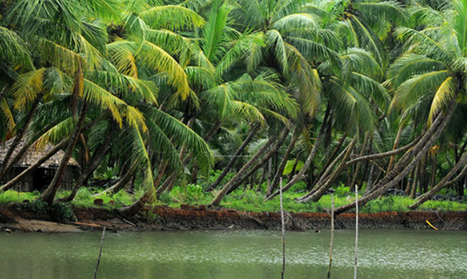 kasaragod tourist places